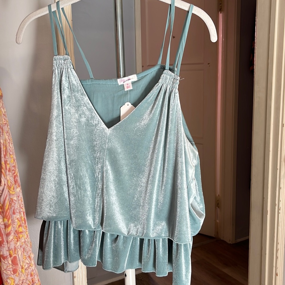 Blue velvet top